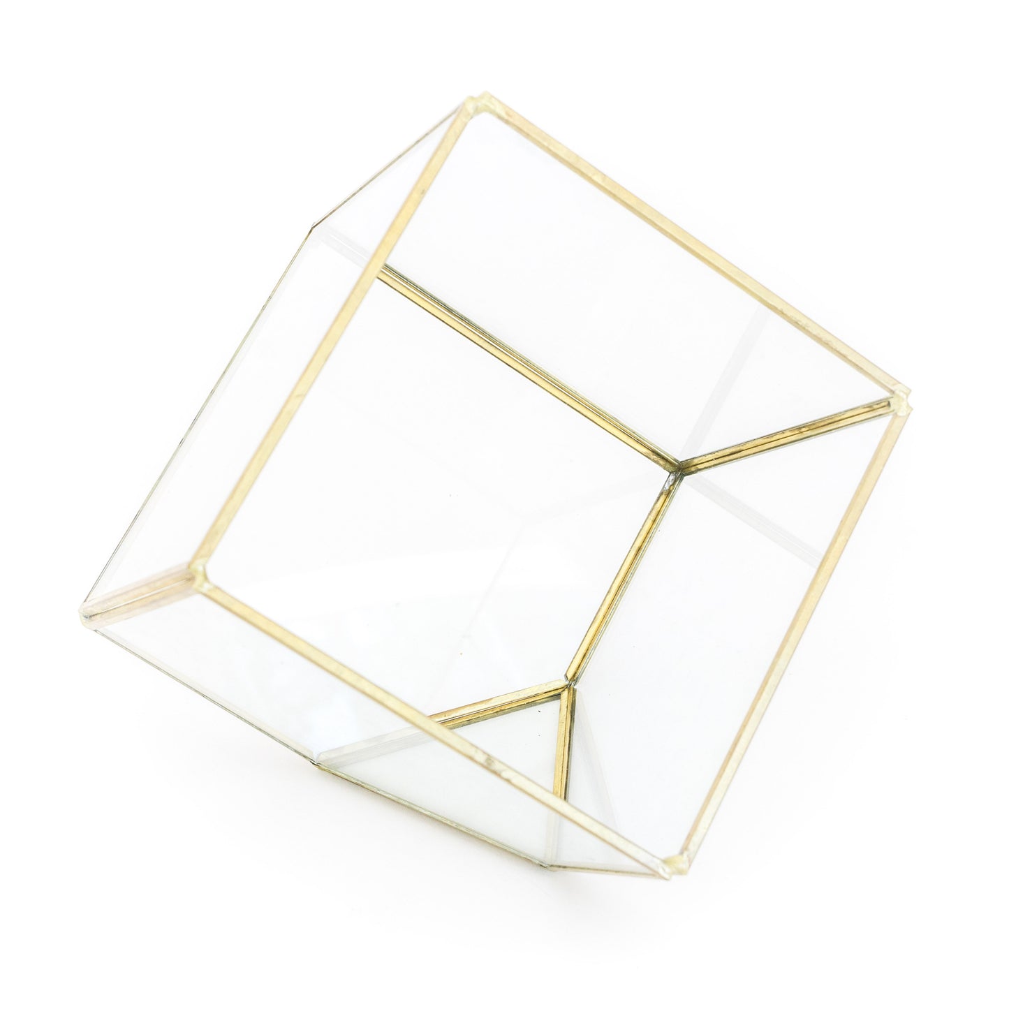 Heptahedron Geometric Glass Terrarium with Tillandsia Red Abdita and Ionantha Air Plants