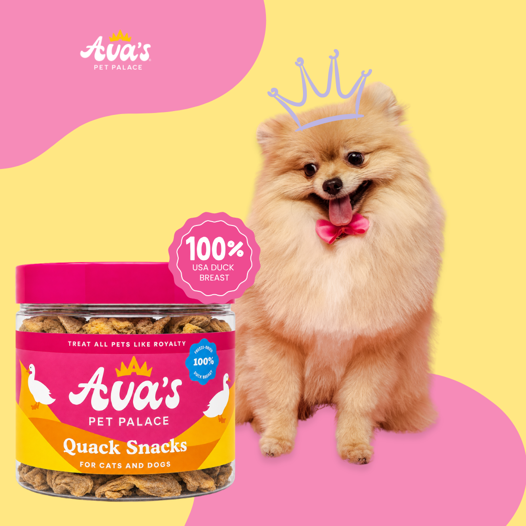 Freeze Dried Duck Breast - Quack Snacks