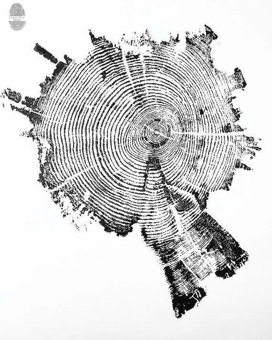Yellowstone Pine II - 18x24 Print