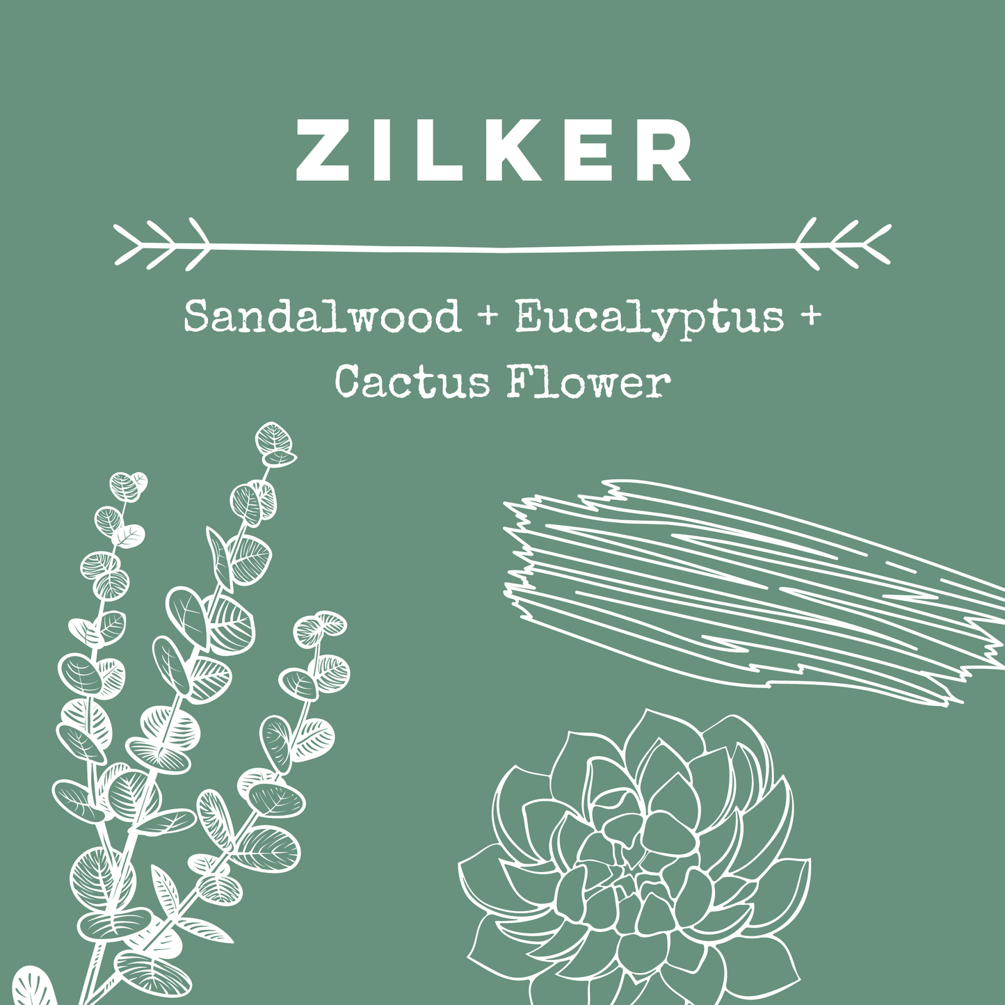 Zilker [Sandalwood + Eucalyptus + Cactus Flower] Soy Candle