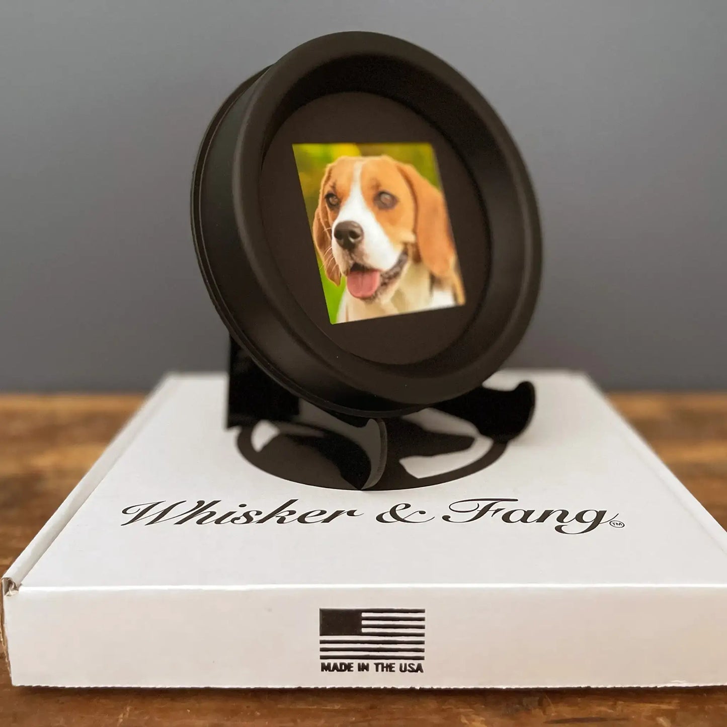 Medium Dog Collar Frame | "The Beagle" Resin