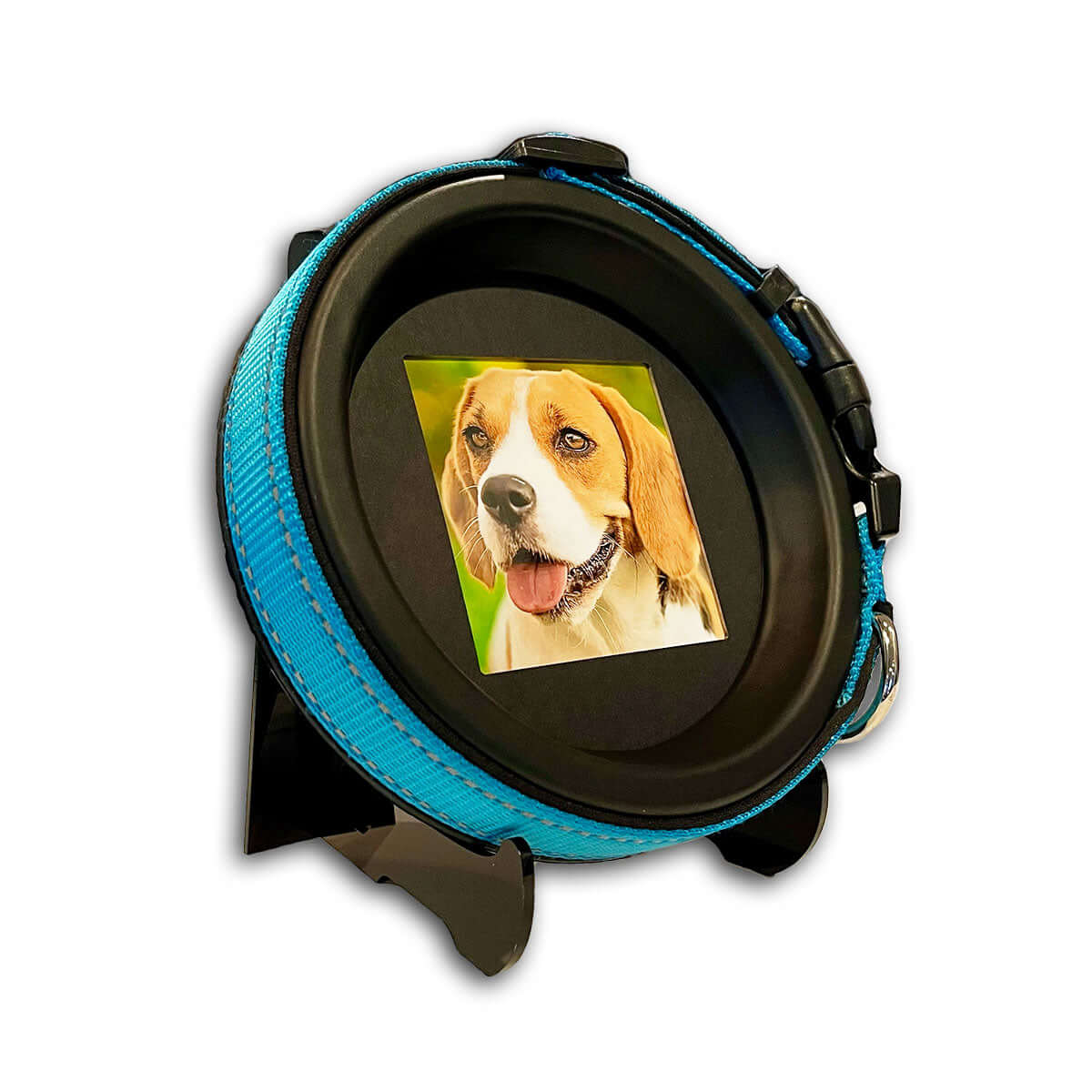 Medium Dog Collar Frame and Stand Bundle | "The Beagle" Resin