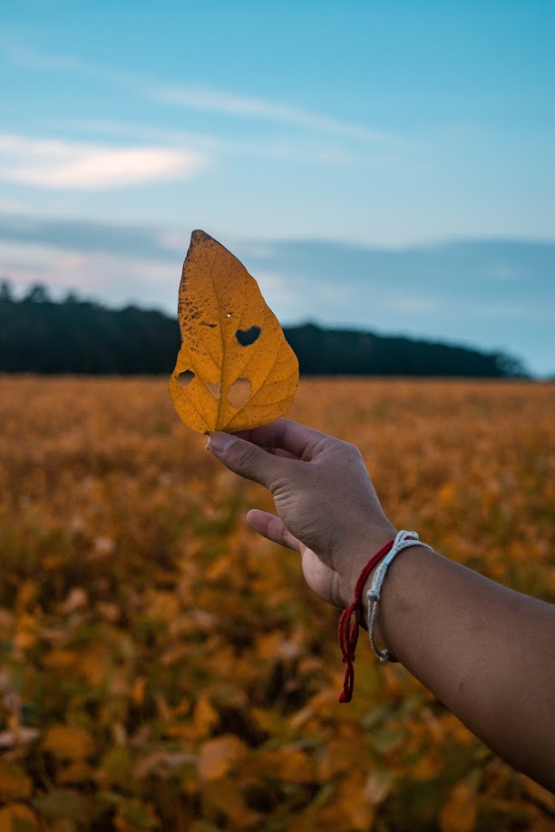 Vermont