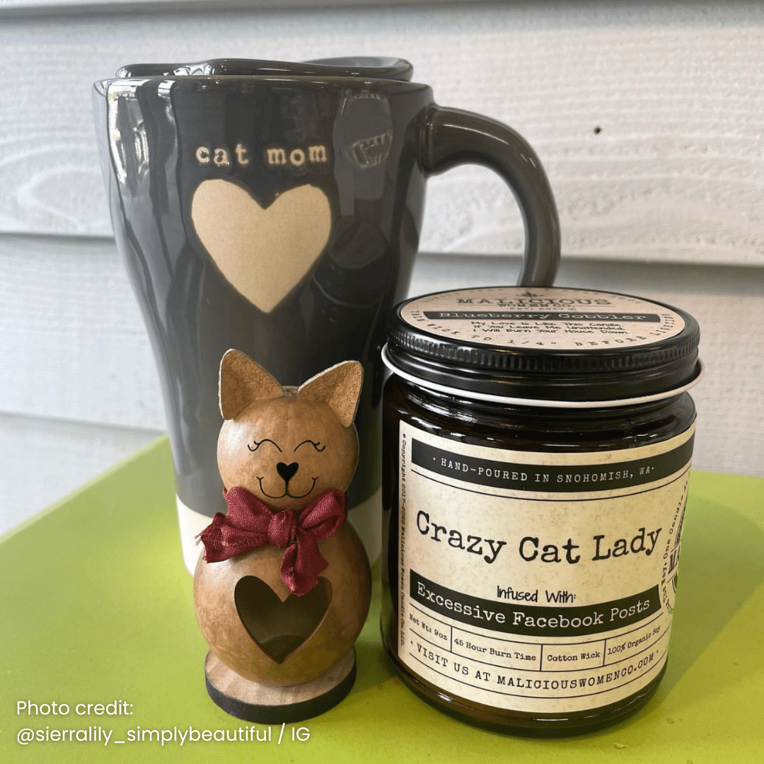 Crazy Cat Lady | 9oz Funny Candle | Malicious Women Co