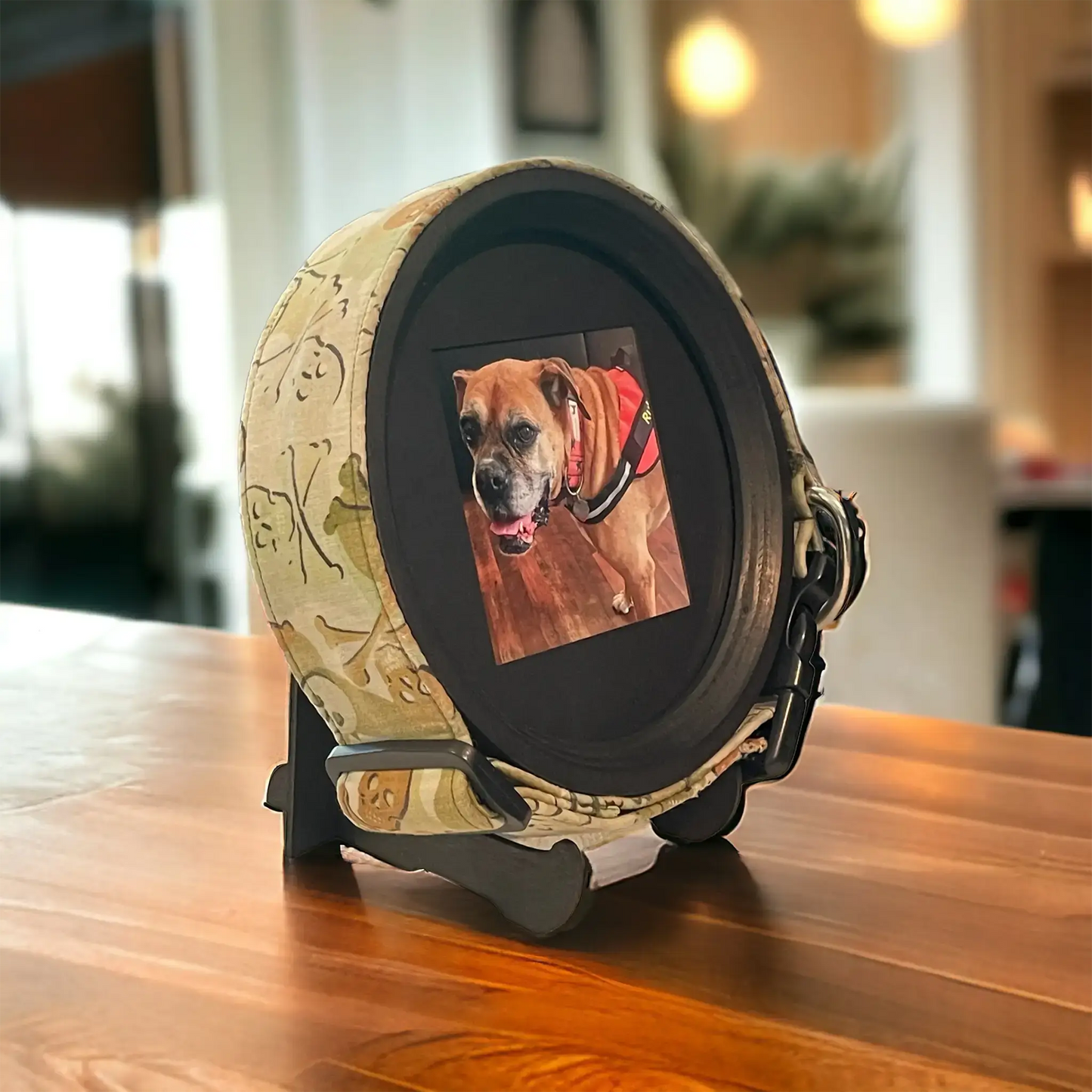 Extra Wide Dog Collar Frame