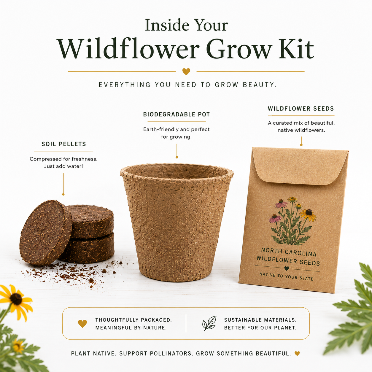 Utah White Cosmos Wildflower Grow Kit