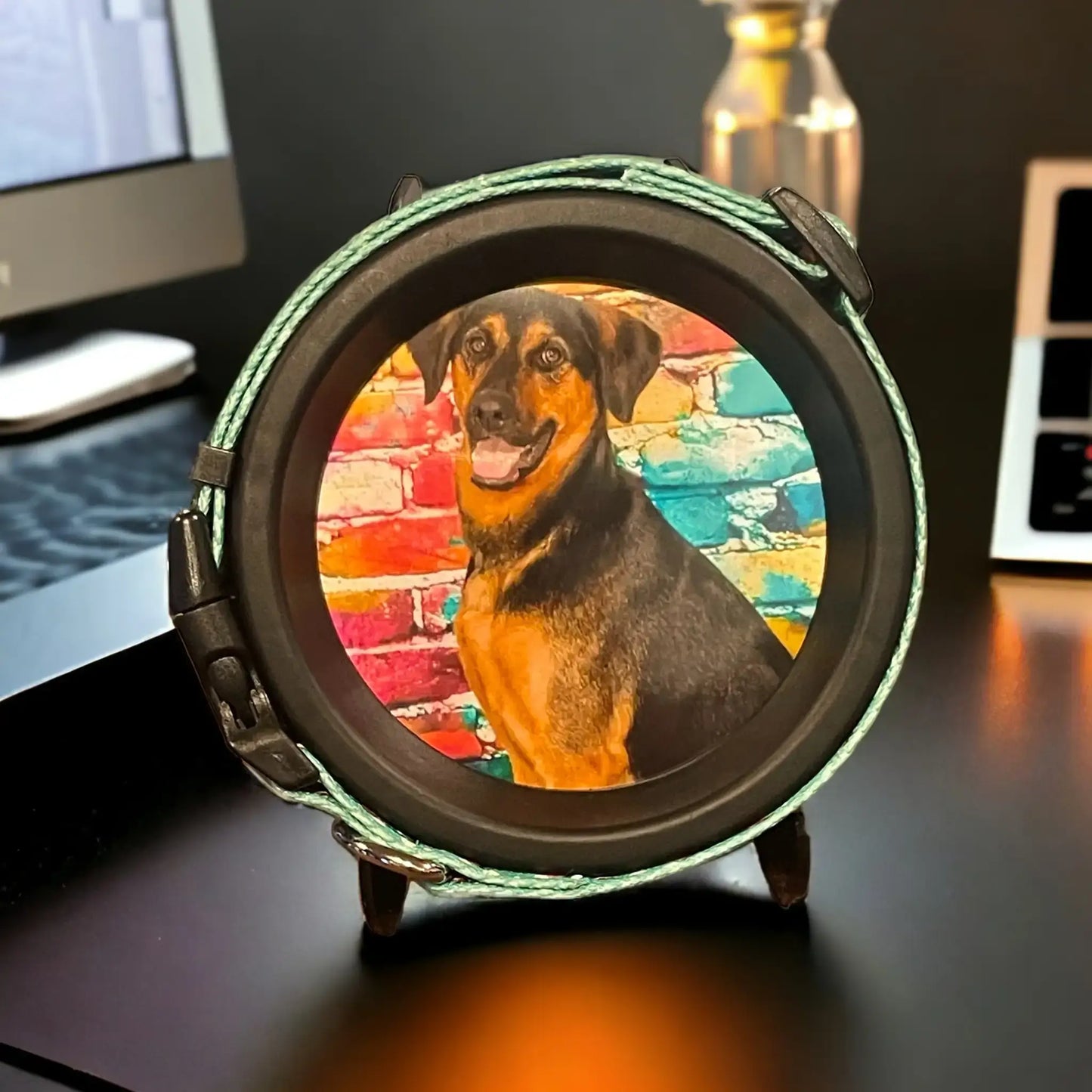 Large Dog Collar Frame and Stand Bundle | "The Labrador" Resin