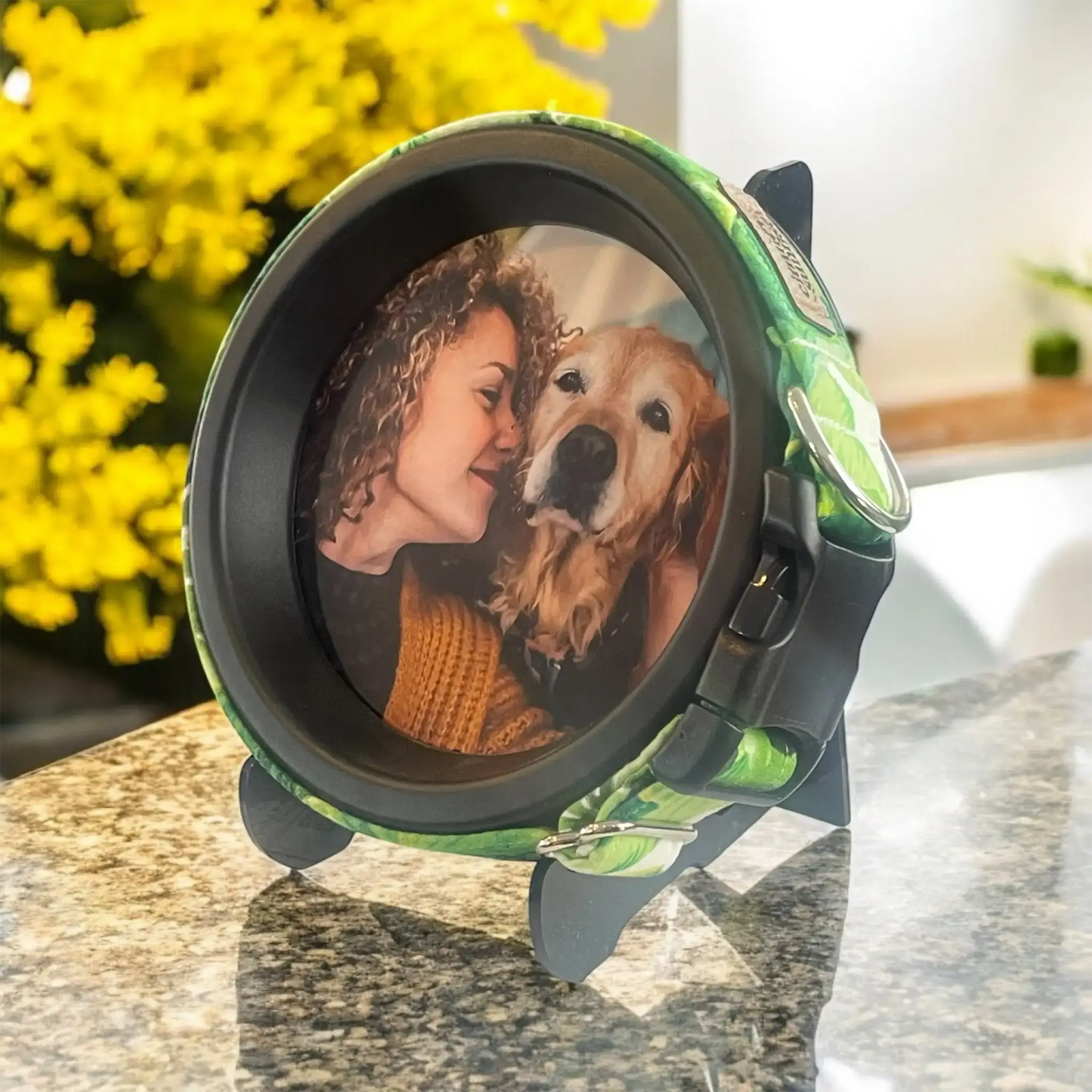 Large Dog Collar Frame and Stand Bundle | "The Labrador" Resin