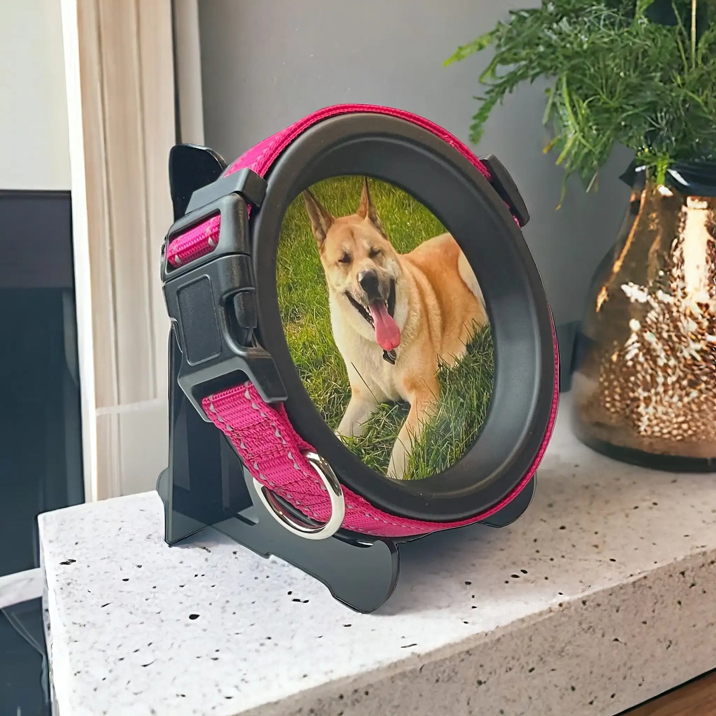 Large Dog Collar Frame and Stand Bundle | "The Labrador" Resin