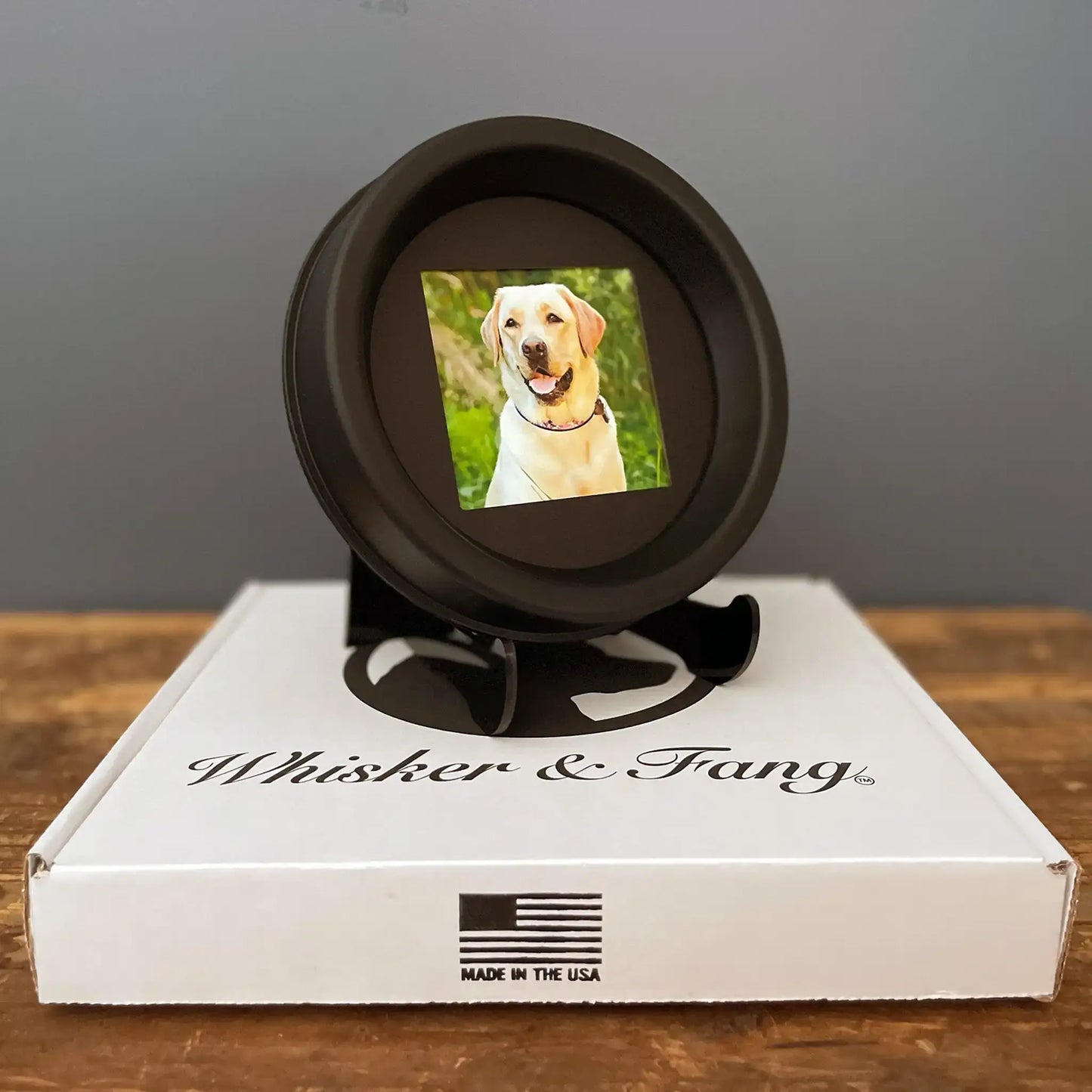 Large Dog Collar Frame and Stand Bundle | "The Labrador" Resin