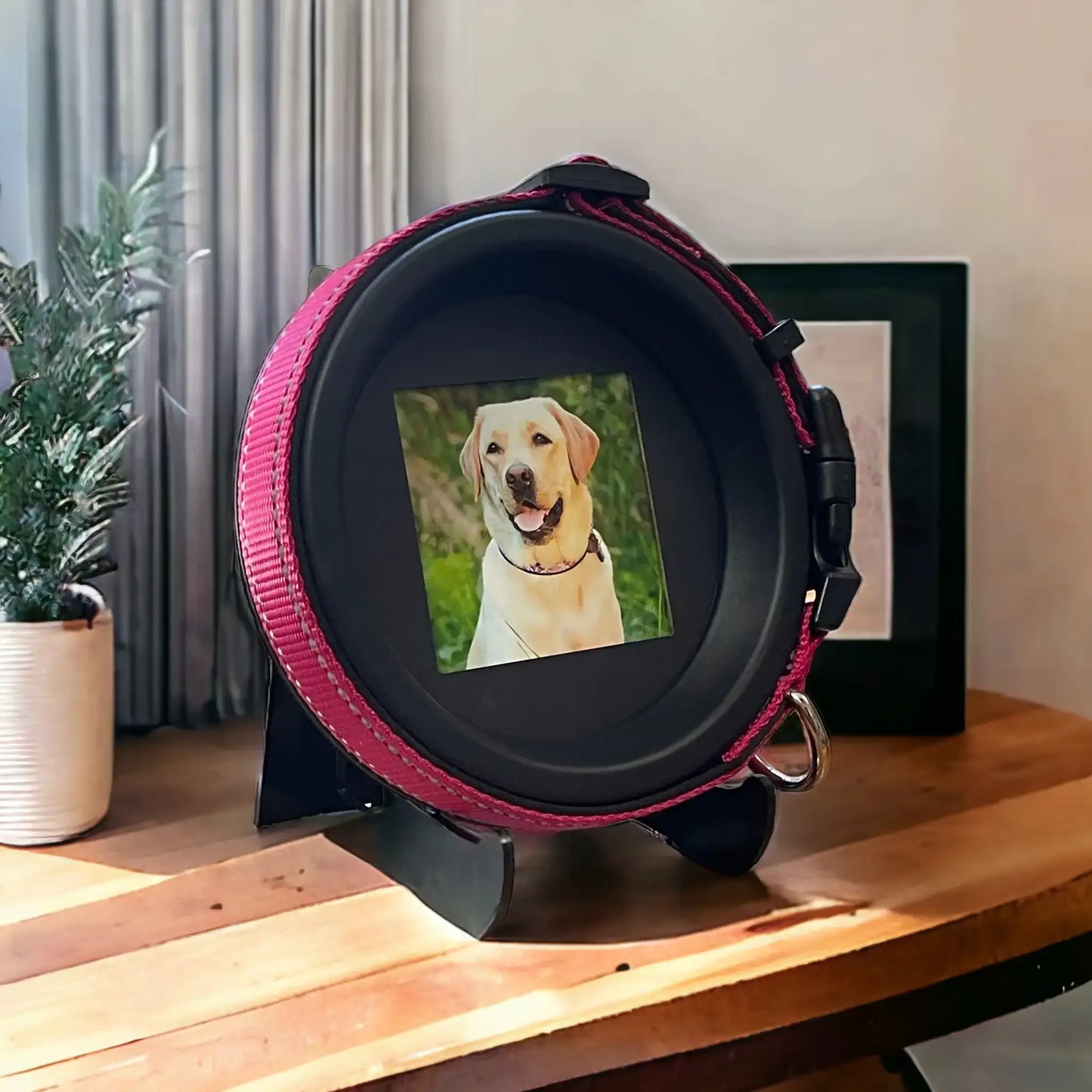 Large Dog Collar Frame and Stand Bundle | "The Labrador" Resin
