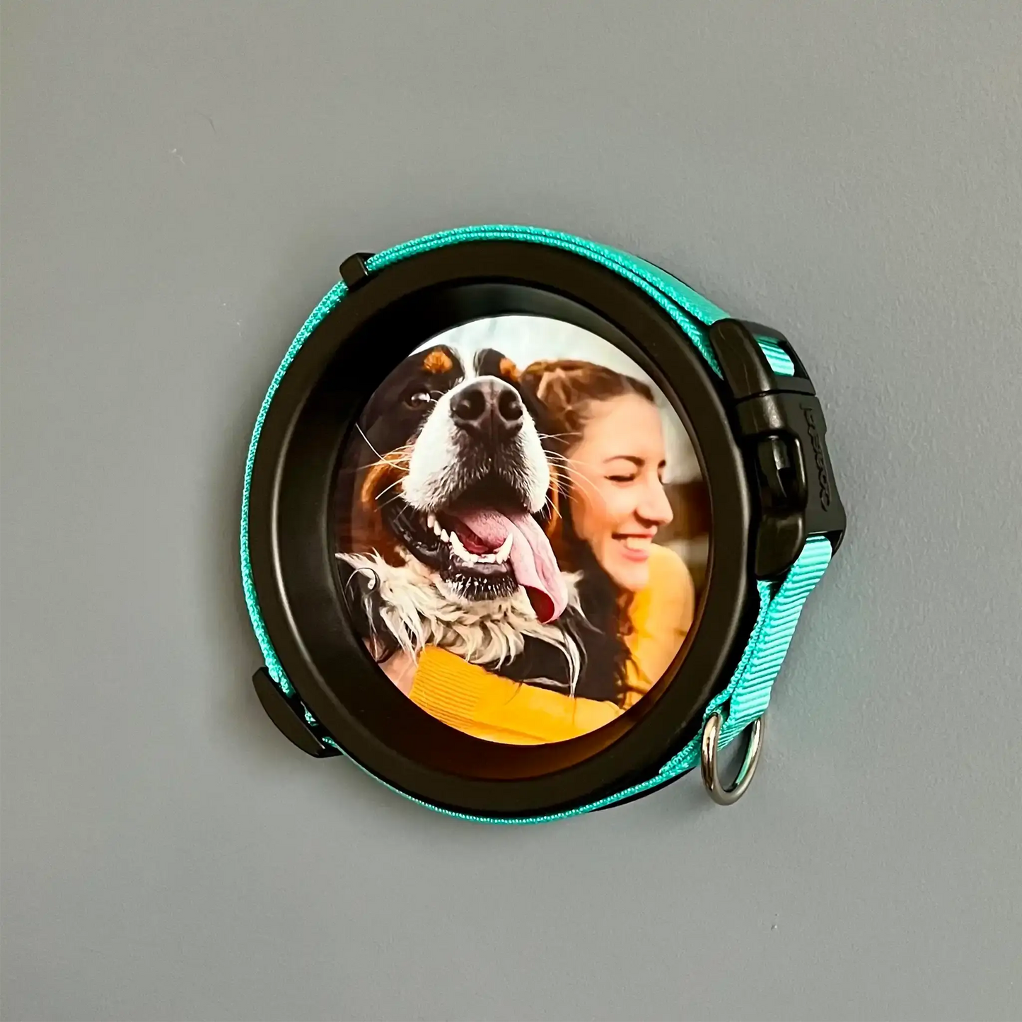 Medium Dog Collar Frame | "The Beagle" Resin