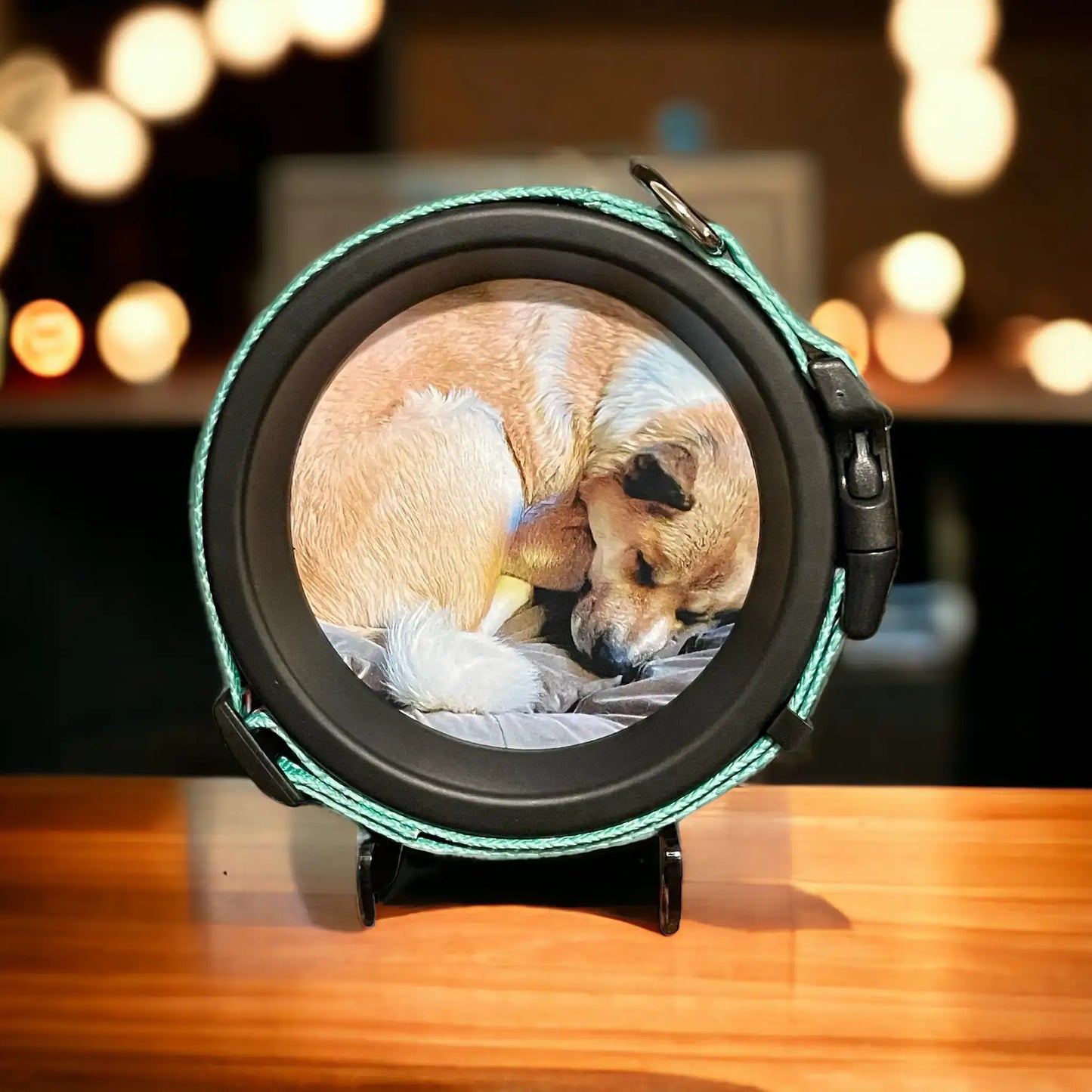 Medium Dog Collar Frame and Stand Bundle | "The Beagle" Resin
