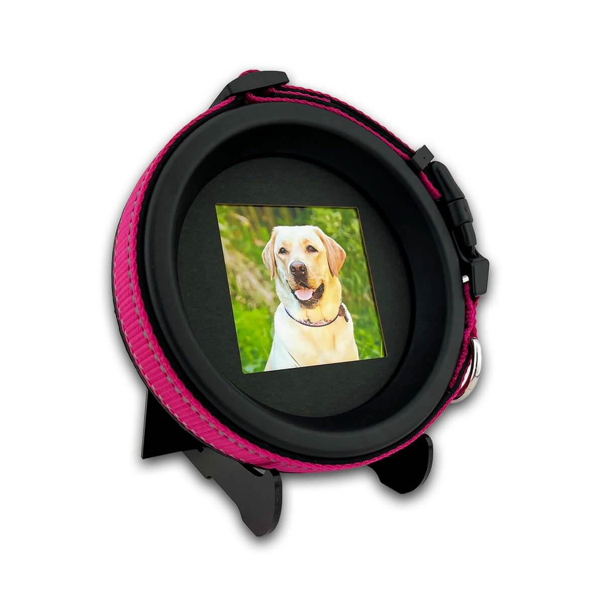 Large Dog Collar Frame and Stand Bundle | "The Labrador" Resin