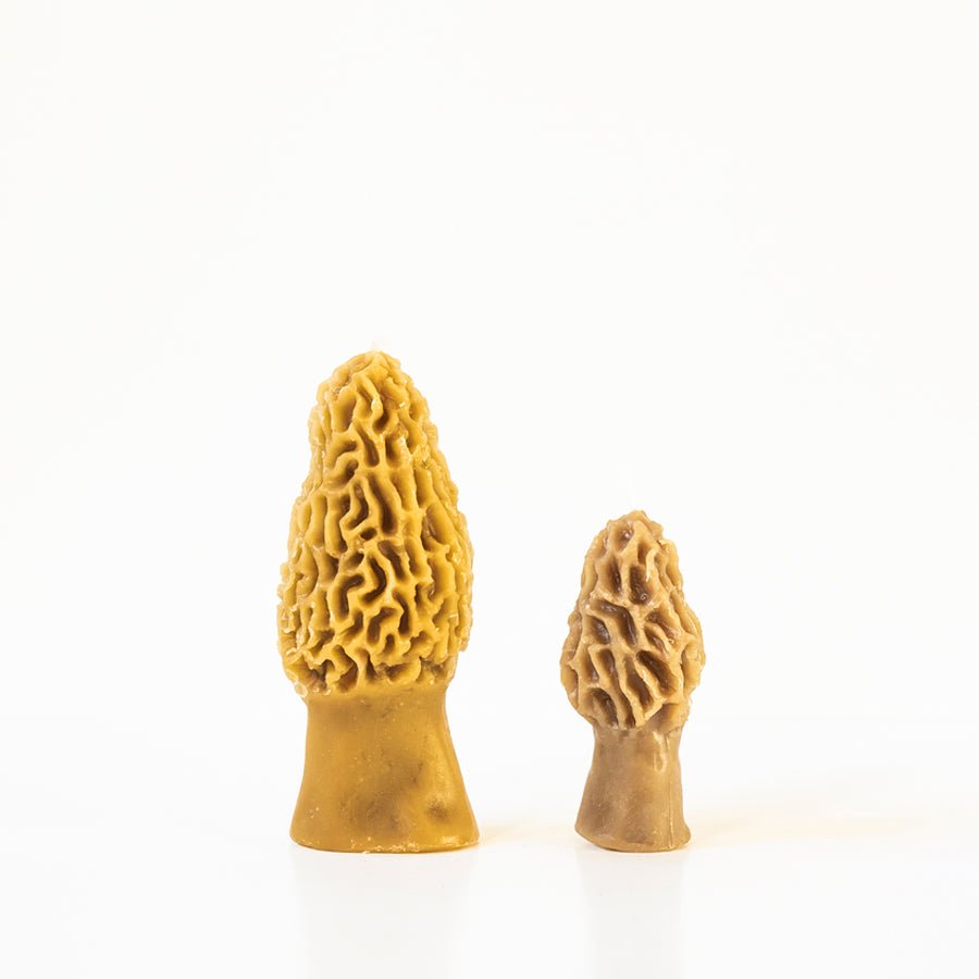 Morel Mushroom Beeswax Candle — Set of 2