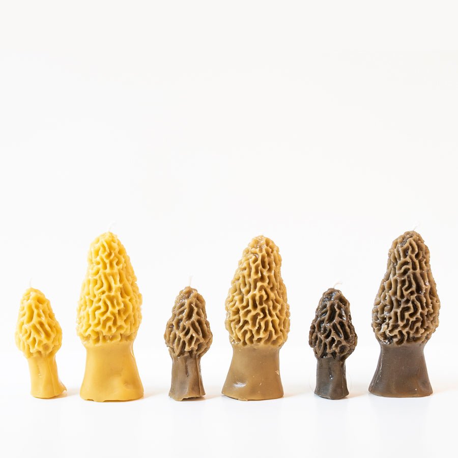Morel Mushroom Beeswax Candle — Set of 2