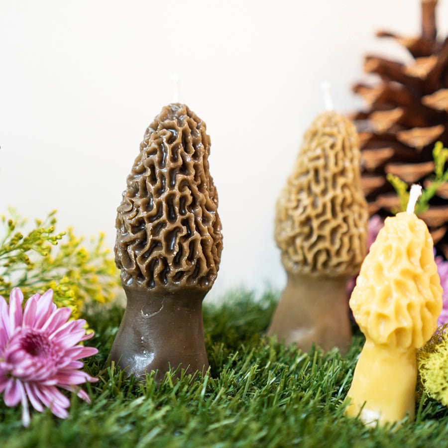 Morel Mushroom Beeswax Candle — Set of 2