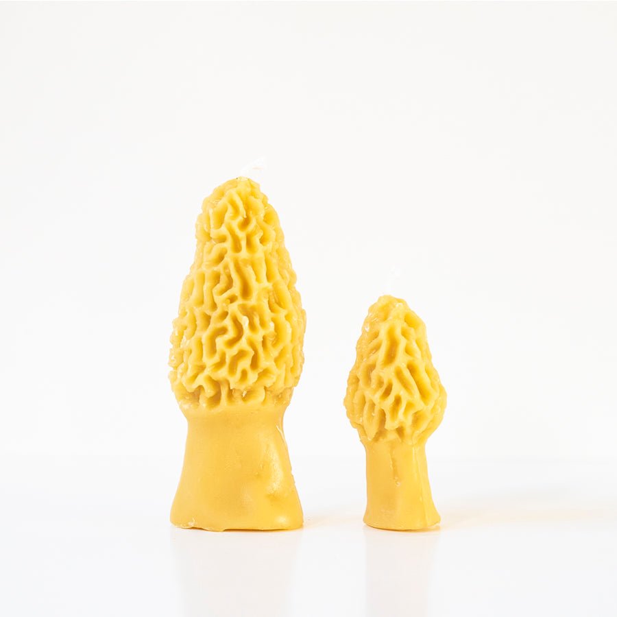 Morel Mushroom Beeswax Candle — Set of 2