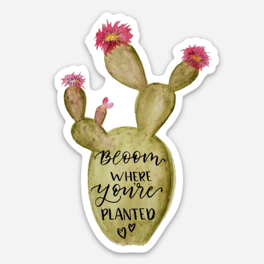 Sticker Exclusive - Prickly Pear - "Bloom Where You're Planted" Original Watercolor Art
