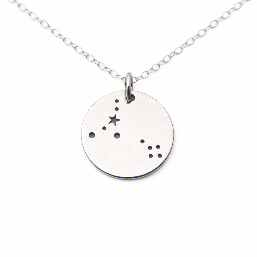 Pisces Zodiac Necklace – Sterling Silver Constellation Pendant on 18” Chain, Astrology Jewelry Gift