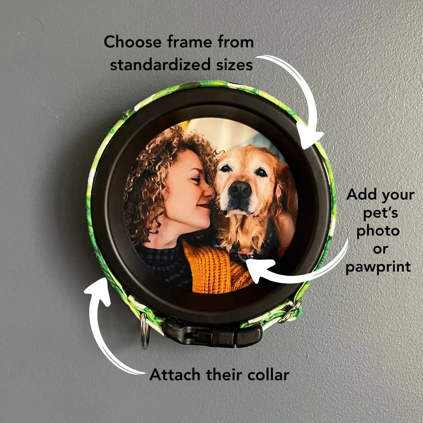 Medium Dog Collar Frame and Stand Bundle | "The Beagle" Resin