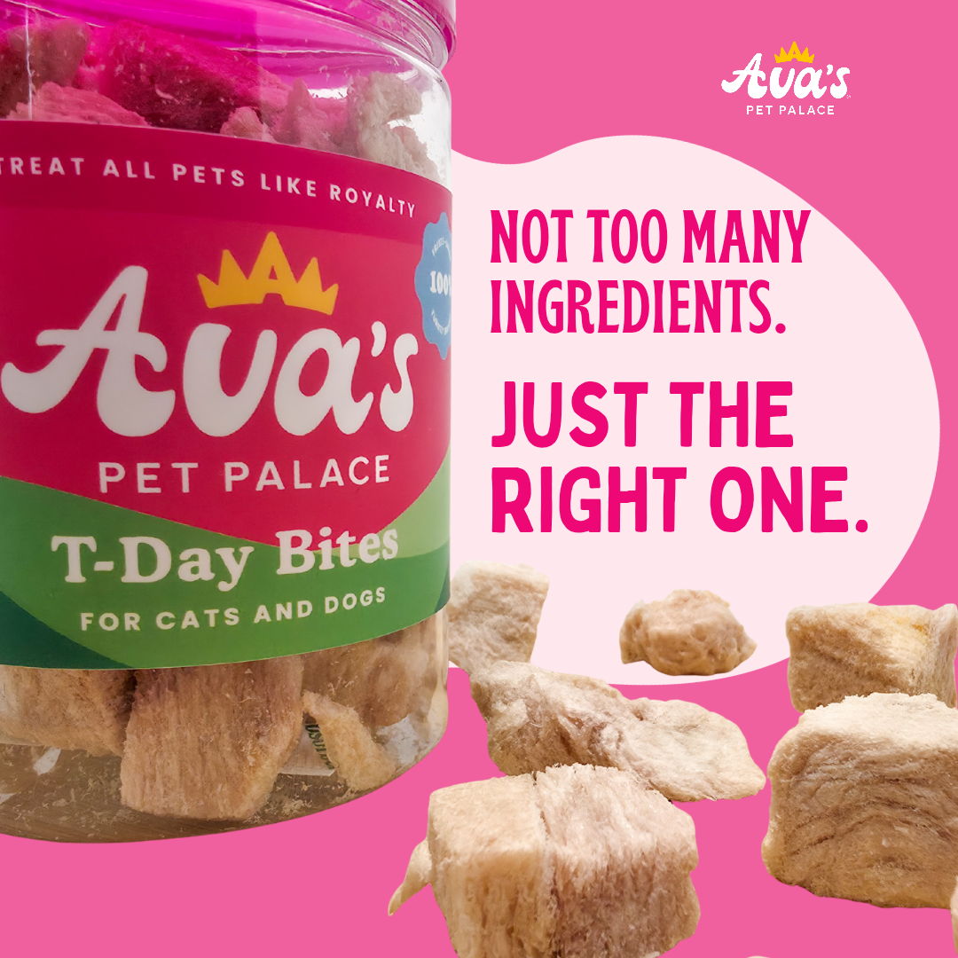 Freeze Dried Turkey Breast - T-Day Bites