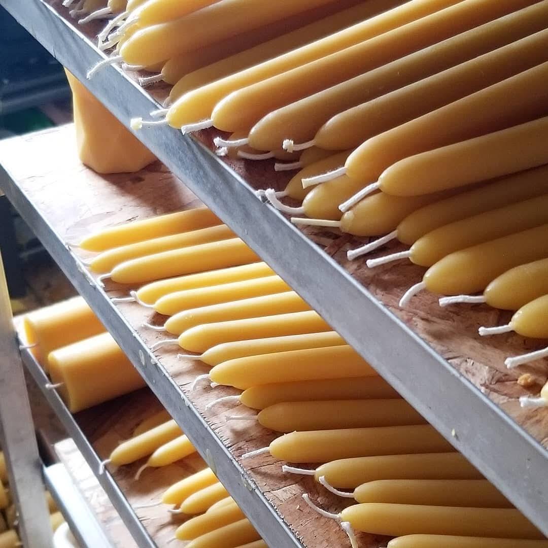 12" Traditional Tapers | Beeswax Candles