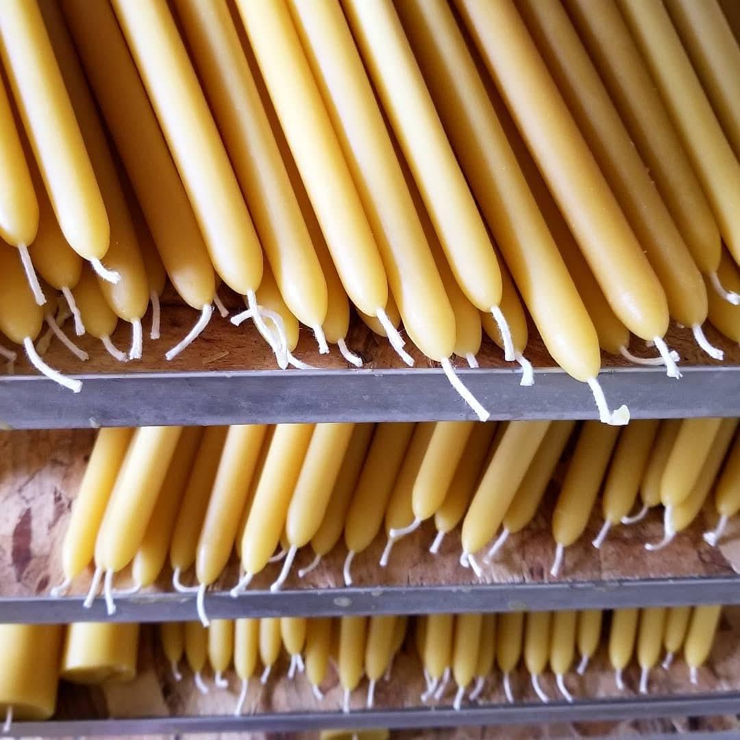 12" Traditional Tapers | Beeswax Candles