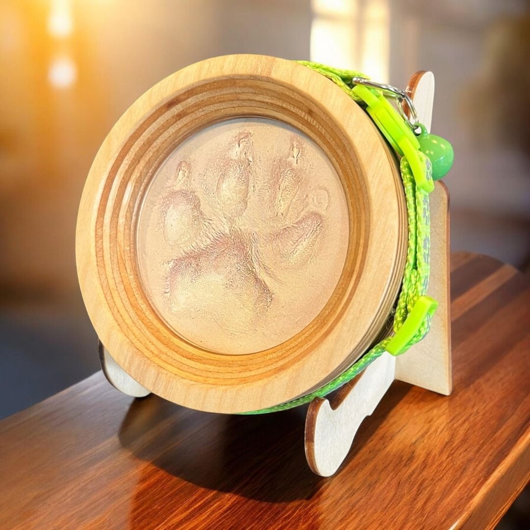Paw Print & Collar Memorial Frame