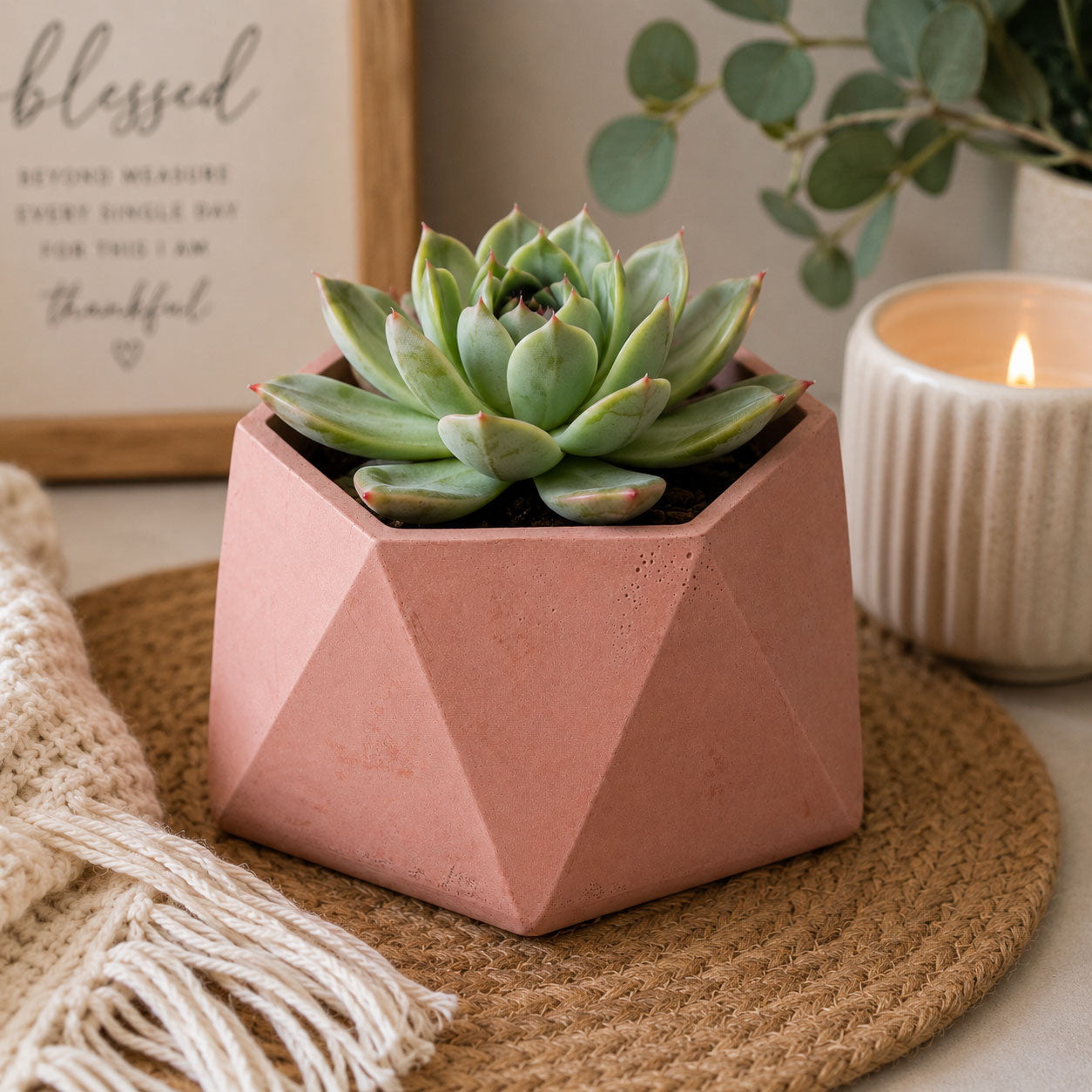 Hexagon-Shaped Plant Holder | 4" x 3.75" x 2" | Color Crete Creations