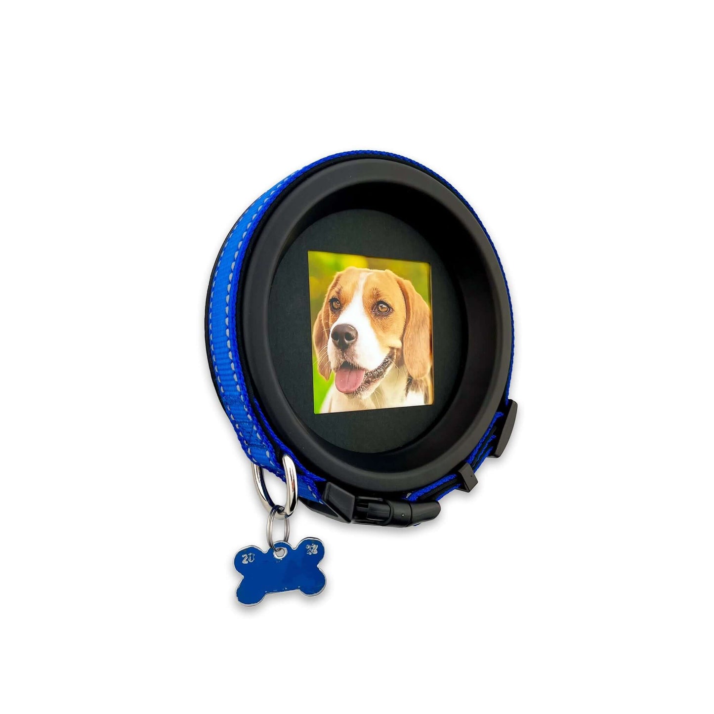 Medium Dog Collar Frame | "The Beagle" Resin