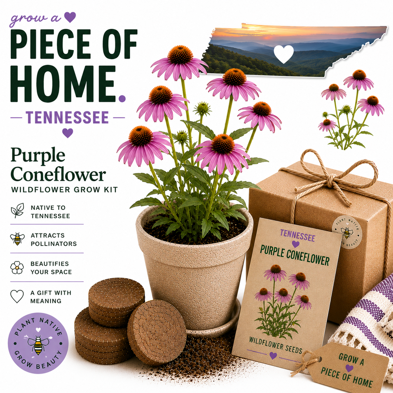 Tennessee Purple Coneflower Wildflower Grow Kit