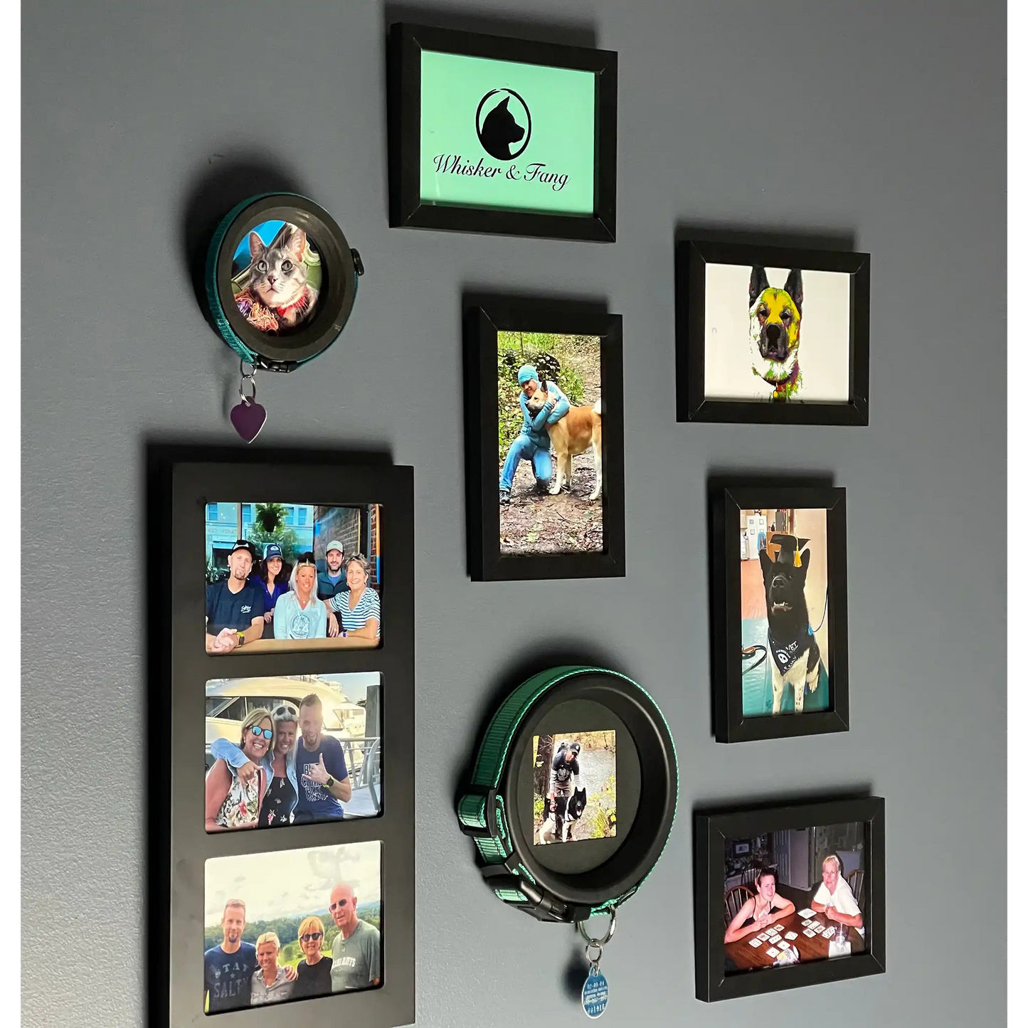 Medium Dog Collar Frame | "The Beagle" Resin